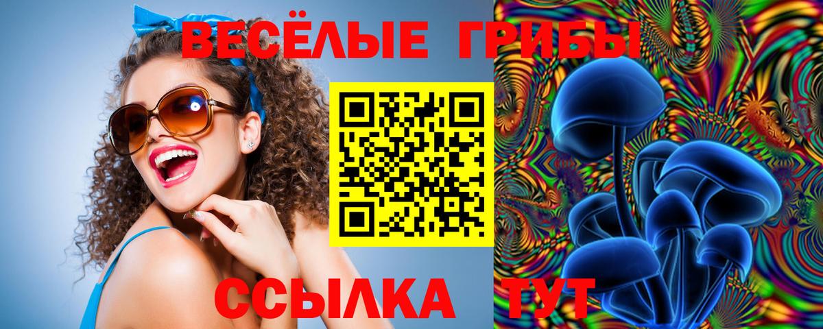 Галлюциногенные грибы мицелий Кинель